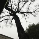 상수리PC 이미지