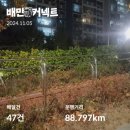 영등포, 신길 배민플러스 비수기 배플 체험 후기.
