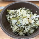 황금코다리 이미지