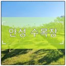 영동식당 휴게실 | 안성 수목장 사전 답사 예약 시 할인 혜택, 전문 상담사 무료 안내 받는 법