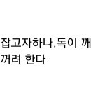 쥐를 잡고자 하나 이미지