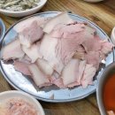 대포쏘는날 이미지