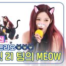 11월13일 주간 아이돌 여기가 주간아야 고양이 유치원이야 우리는 친구! 21 팀의 &#39;Meow&#39; 영상 이미지