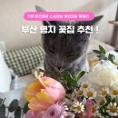 5월 기념일 꽃선물 고민된다면? 명지 꽃블리 방문 후기 (스승의날/성년의날/로즈데이)