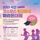 서산시, 2023 서산 코스모스 황금들녘 마라톤대회 개최!(서산태안TV) 이미지