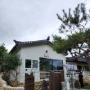 흥와대