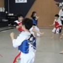 아이태권 | 다사태권도장 겨루기 다사 죽곡 태권도장 태권명가 후기: 아이의 성장과 함께하는 따뜻한 태권도
