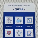 바른걸음 외과 동물병원 이미지