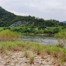 금마바다식당 | 영월 서강 낚시여행 청령포 포함, 광전리 금마대교 포인트