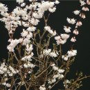 구곡영농조합법인 이미지