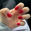 기장 사물놀이 | [2026 Hawaii] 드디어 하와이, 인천에서 하와이 빅아일랜드까지 (feat. 에어프레미아, 하와이안항공...