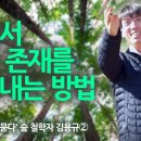 벤처CEO 그만두고 숲으로 간 이유 | 모든 생명은 삶의 숙제를 풀 힘을 갖고 태어난다 이미지