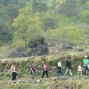 송전리하동 이미지