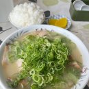 애그리컬쳐 | [20] 가고시마 여행 l 쥬하찌방 시오라멘 - 야나기야마 - 쿠시키노댐 무료 오토캠핑장