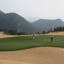 로얄카인테리어 네이버블로그