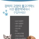 광은약국 이미지