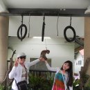 하누리여행사 이미지