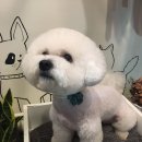 웨그앤코 이미지