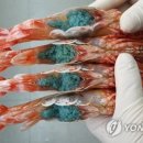 도화당구장 이미지