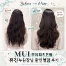 유진헤어샵 - 양천구 | 강남미용실 추천💇🏻‍♀️ | 무이 대치본점 환원열펌 후기 (feat. 유진 부원장님)