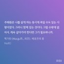 주해원 | 맥거핀_MaRO(마륭옹)