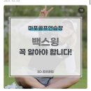 최경주기념 골프연습장 | 🔥 홍대 골프연습장 추천! 에스디골프클럽 홍대점 후기 (20주년 행사 중, 시설 최고👍)
