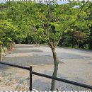 마이산 가자캠핑장 이미지