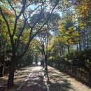 민성이 농장 | 일단은 한 주 한 주 최선을 다하자는 결론