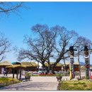 동산1길 이미지