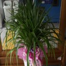 동구노인종합복지관 이미지