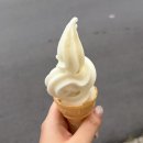 50년전통의령소바메밀나라