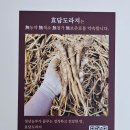 효담도라지 네이버블로그