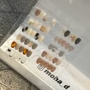 모하디네일