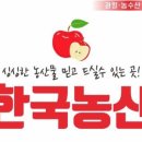 세교착한과일