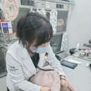 예은동물의료센터 이미지
