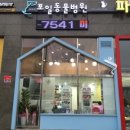 가든펫동물병원 이미지