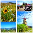 바람이좋은화산마을 | 군위 화산산성 마을과 풍차전망대와 하늘전망대,해바라기 로드카페 여행 한 번에 즐기는 하늘 뷰 코스