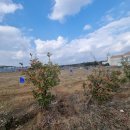 영어마을금손공인중개사사무소 이미지