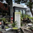 다올팜 | 👶[6개월 아기랑] 경기 광주 나들이｜자연주의 키즈카페 다올카페 솔직 후기