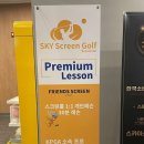 스카이 스크린 골프 이미지