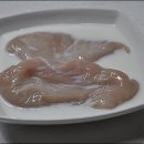 닭더피자 Daum카페