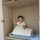 훈육 | 30개월 아이의 짜증. 오은영 박사의 훈육법 적용 후기