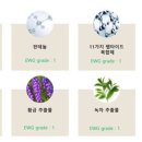 모아화장품 이미지