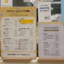 서울애견 | 양평역 애견카페 댕린이보호구서울 영등포 심야 신상 애견카페 후기