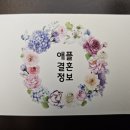 애플결혼정보 이미지