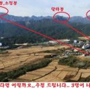 삼척공인중개사사무소 이미지