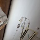 마리나산부인과의원 | 이천 마리나 산부인과 제왕절개 비용 및 후기 (26년 2월)