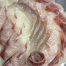 칼맛나는푸짐한횟집 이미지
