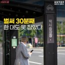 서울시 다산 콜센터 - 콜택시 전용 전화번호 이미지