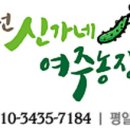강원도 농가 철원 신가네 여주농장 방문견학